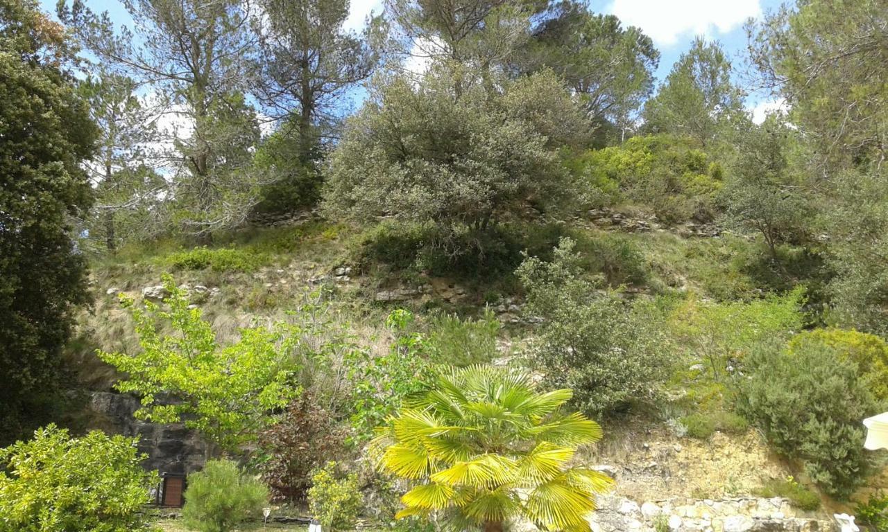 Gite Sud De France-Carcassonne Chez Lea Aragon Buitenkant foto